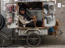 Pekingský opravá bicykl hladí psíka ve své tíkolé pojízdné pracovn (24....
