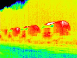 Termosnímek vlaku s vyhoelým jaderným palivem bhem zastávky na nádraí v