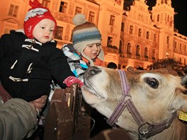 Slavnostn rozsvcen vnonho stromu na Perntnskm nmst v Pardubicch