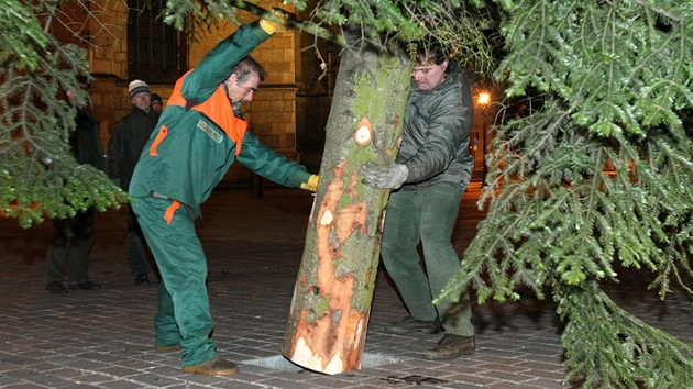 Dlníci ukotvují vánoní jedli na plzeském námstí