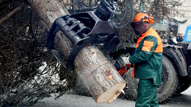 Masarykovo námstí v Jihlav u zdobí vánoní strom. Devítimetrový smrk