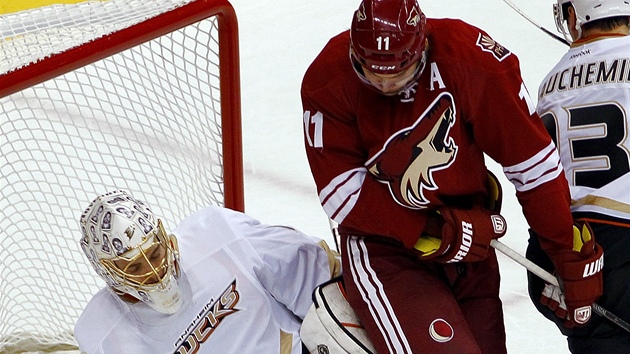 Anaheimský gólman  Jonas Hiller v souboji s  Martinem Hanzalem z Phoenixu. 