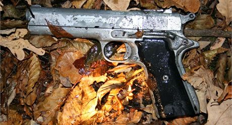 Plynová pistole, kterou pouil lupi pi pepadení benzinky ve...