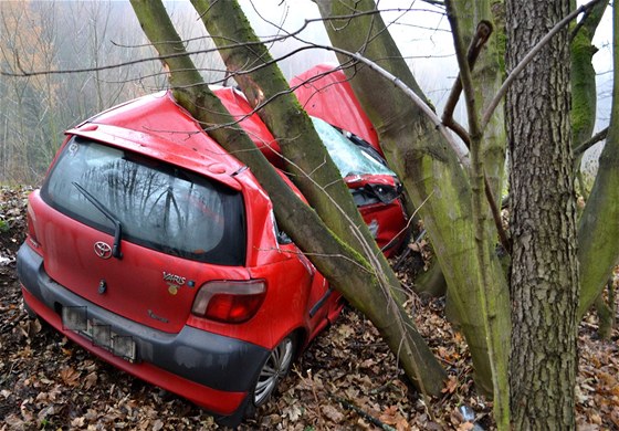 idi, který ml v krvi pes tyi promile alkoholu, vzal stopae a narazil do stromu. Ilustraní snímek