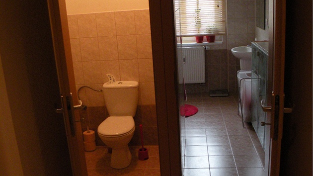 Souasný vzhled koupelny a toalety
