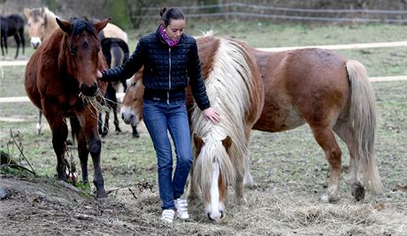 Na rani na v íov Jihlavsku nkdo otrávil nkolik koní (na snímku dcera