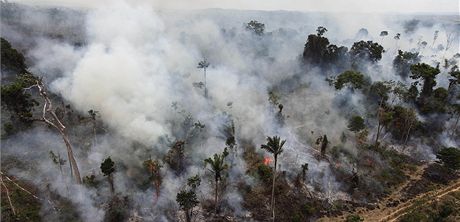 Lidé, kteí baí po pozemcích, nelegáln zapálili ást amazonského pralesa na