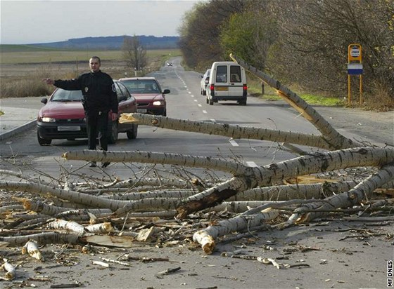 Hned pt strom spadlo na silnici mezi Znojmem a Suchohrdly. Ilustraní foto.