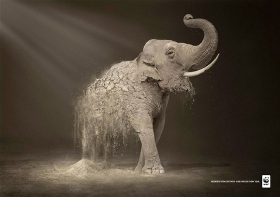 Reklama WWF: Dezertifikace znií kadý rok 6 tisíc druh