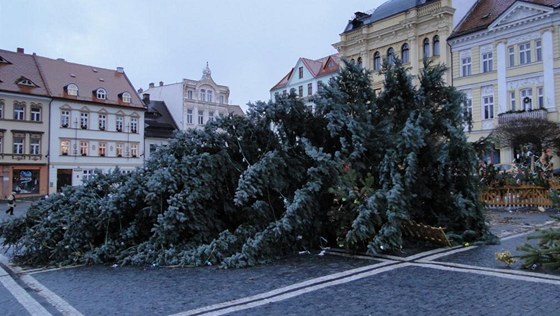 Spadlý vánoní strom v eské Líp