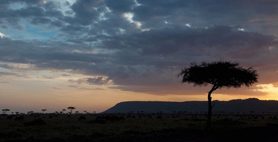 V oblasti Masai Mara v Keni chystá Richard Branson luxusní kemp.
