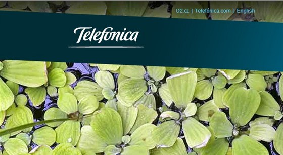 Telefónica. Ilustraní snímek