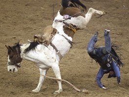 Divoké rodeo v Las Vegas: jezdec Sam Spreadborough z Texasu se porouí k zemi.