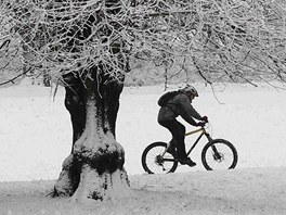 Cyklista projídí zasneným Lyme Park poblí Manchesteru. (16. prosince 2011)