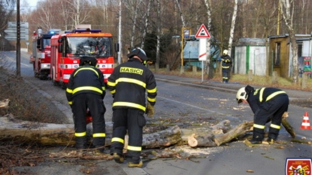 Zásah hasi u jednoho z popadaných strom v Ostrav.