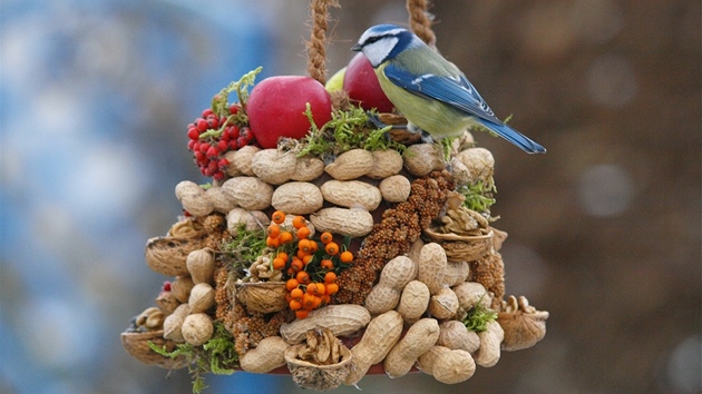 Pestrou nápl krmítka ptáci uvítají. 