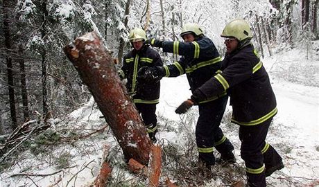 Stromy padají na silnici pod tíhou snhu, hasii je odklízeli bhem jediného dne u tikrát. Ilustraní foto