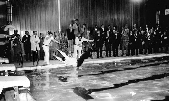 Aský bazén pi otevení v roce 1978.