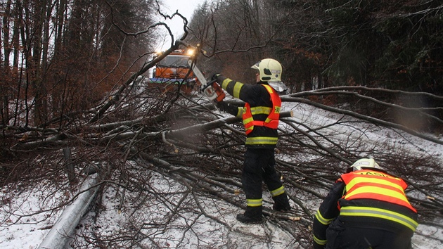 Hasii odklízí strom ze silnice na Zlínsku. (5. ledna 2012)