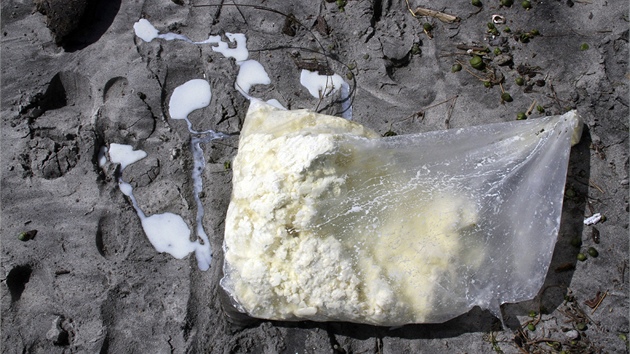 Nejen trosky a ropn skvrna. Oblbenou novozlandskou Waihi beach zaplavilo i suen mlko (8. ledna 2012)