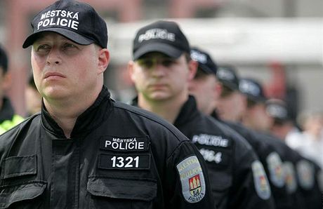 Stráníci Mstské policie. Ilustraní foto