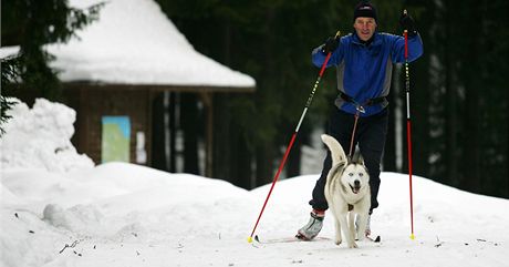 V lyaském areálu Nové Hamry mohou vyrazit bkai do stopy i se psem, tak