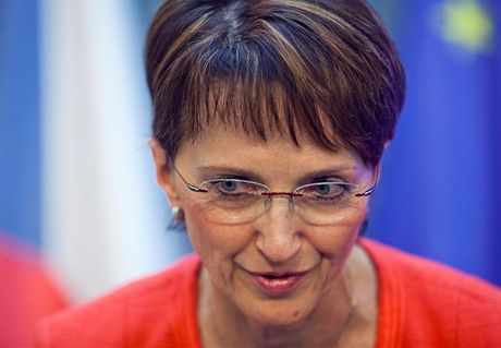 Ministryn kultury Alena Hanáková chce nové ízení vypsat co nejdíve.