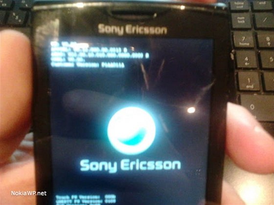 Pipravuje Sony smartphone s Windows Phone?