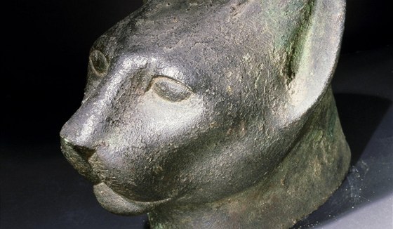 Staí Egypané koky uctívali jako pedstavitelky bohyn Bastet.