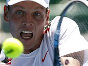 LUT VZVA. Tom Berdych ve svm vodnm duelu na Australian Open. 