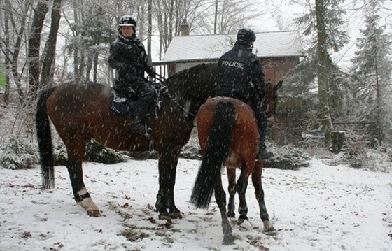Jezdci brnnské jízdní policie hlídkovali kolem chat v okolí Jedovnic.