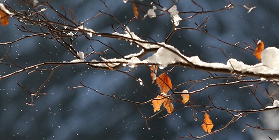 Zima, mráz, sníh. (ilustraní foto)