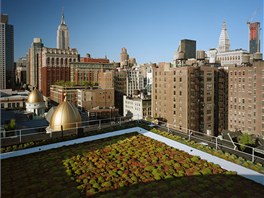 Zahrada na budov spolenosti Cook+Fox Architects na Manhattanu v New Yorku  