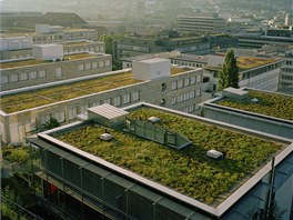 Pohled na zelené stechy budov ve Stuttgartu v Nmecku, kde od roku 1989 platí