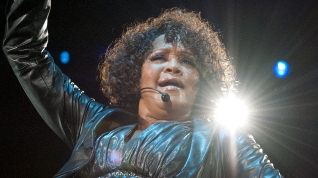 Whitney Houston  v roce 2010