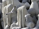 V Rumunsku takto pokryl led bariéru chránící pístav na erném moi. (1. února...
