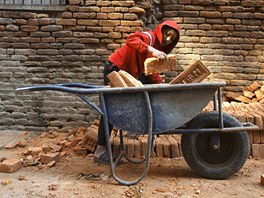 Chlapec nakládá na stavb v nepálském Káthmándú cihly do koleka. (30. ledna...