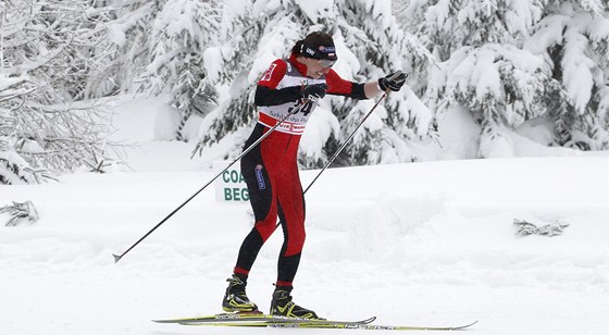 Justyna Kowalczyková na trati sprintu volnou technikou v polské Szklarské