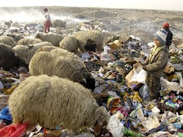 Irácké dti prohledávají skládku v Tikrítu. Sbrem kov, plast, lepenky a...
