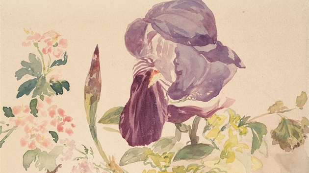 Edouard Manet: Studie kvtin (1880, Albertina, Vde)