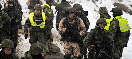 eská armáda letos vylenila pro Síly rychlé reakce NATO pes 760 voják. Ilustraní snímek.