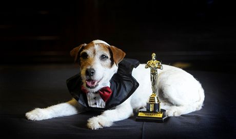 Uggie zskal 13. nora v Beverly Hills prvn cenu v hlavn filmov kategorii
