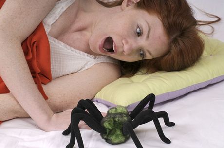 Arachnofobie je chorobný strach z pavouk.