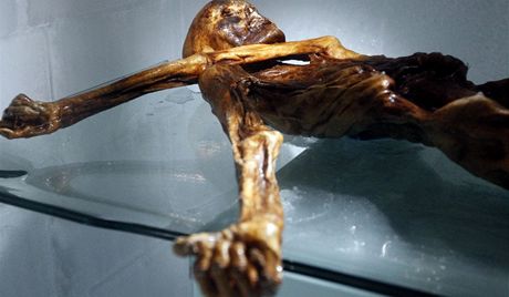 Mumie Ötziho je k vidní v muzeu v jihotyrolském Bolzanu. 