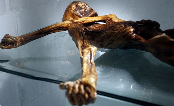 Mumie Ötziho je k vidní v muzeu v jihotyrolském Bolzanu. 