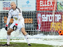 PEKONANÝ BRANKÁ. Radek Sozík, gólman a kapitán fotbalist Bohemians, se...