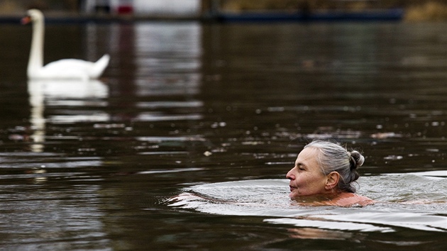 Albta Pourov se vnuje otuileckmu plavn pes ticet let.