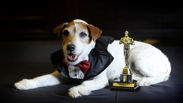Uggie získal 13. února v Beverly Hills první cenu v hlavní filmové kategorii