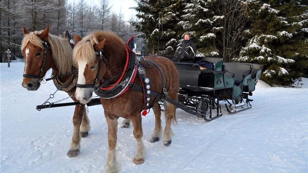 Obas tu mete pod Kahlebergem narazit na koské speení.