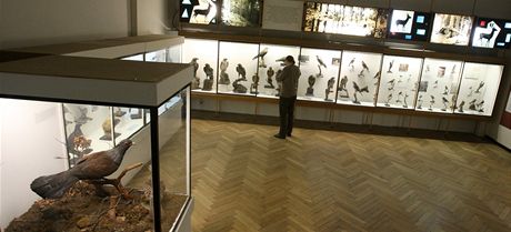 Jihoeské muzeum v eských Budjovicích uzave první patro se stálými